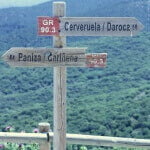 Vinas Viejas de Paniza Garnacha – A Spanish Wonder