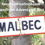 Argentinian Adventures Part 2: Malbec