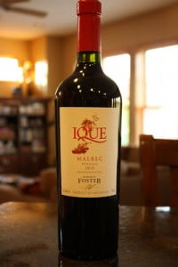 2010_Enrique_Foster_Ique_Malbec