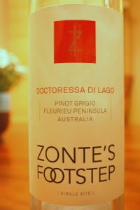 2010_Zontes_Footstep_Doctoressa_Di_Lago