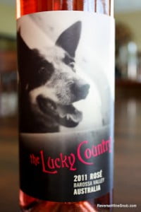 2011-The-Lucky-Country-Rose