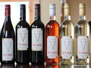 Vini-Wine-Bulgaria