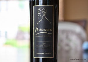 2011-Artesana-Tannat-Merlot
