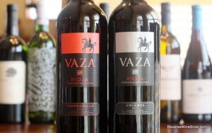 Vaza-Rioja