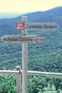 Garnacha from Carinena - A Spanish Wonder
