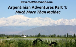 Argentinian Adventures Part 1: Much More Than Malbec