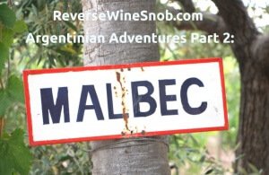 Argentinian Adventures Part 2: Malbec