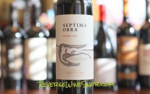 Septima Obra Malbec - Dark, Spicy and Delicious