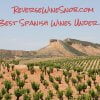 The Best Spanish Wine Under $20 - The Reverse Wine Snob Picks!
