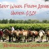 The Best Wine From Argentina Under $20 - The Reverse Wine Snob Picks