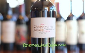 Campo Alegre Toro - One Tasty Tempranillo