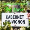 The Best Cabernet Sauvignon Under $20 - The Reverse Wine Snob Picks!