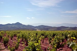 La Rioja - A Spanish Region That Is A Feast For The Senses!