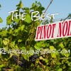 The Best Pinot Noir - The Reverse Wine Snob Picks!