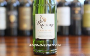 Domaine de Cantagrils Picpoul de Pinet - A Breath of Fresh Air