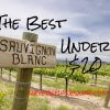 The Best Sauvignon Blanc - The Reverse Wine Snob Picks!