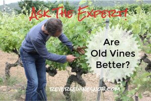 Do Old Vines Make Better Wine? Ask The Expert!