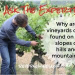 Why Are Vineyards Often Found On The Slopes of Hills and Mountains? Ask The Expert!