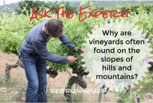 Why Are Vineyards Often Found On The Slopes of Hills and Mountains? Ask The Expert!