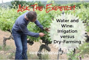 Water and Wine - Irrigation Versus Dry Farming? Ask The Expert!
