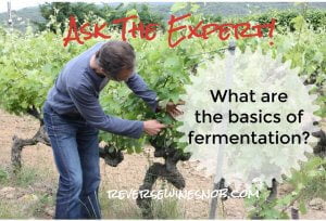 What Are The Basics Of Fermentation? Ask The Expert!
