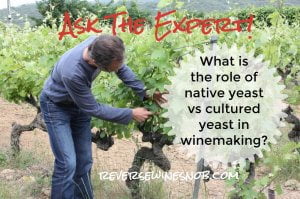 What Is The Role Of Native Yeast Versus Cultured Yeast in Winemaking? Ask The Expert!