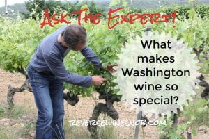 What Makes Washington Wine Special? Ask The Expert!