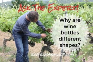 Why Are Wine Bottles Different Shapes? Ask The Expert!