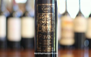 Edivo Plavac Mali - An Underwater Discovery