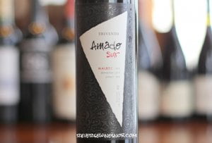 Trivento Amado Sur Malbec Blend - An Excellent Choice