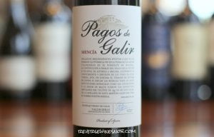 Pagos de Galir Mencia – A Tasty Discovery