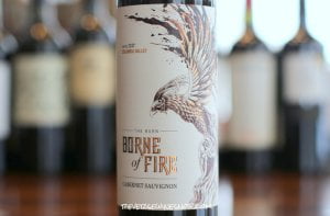 The Burn Borne of Fire Cabernet Sauvignon – Ablaze With Flavor