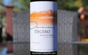 Finca Decero Remolinos Vineyard Malbec - Lofty