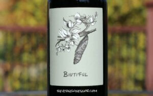 MAAL Biutiful Malbec - Unadulterated