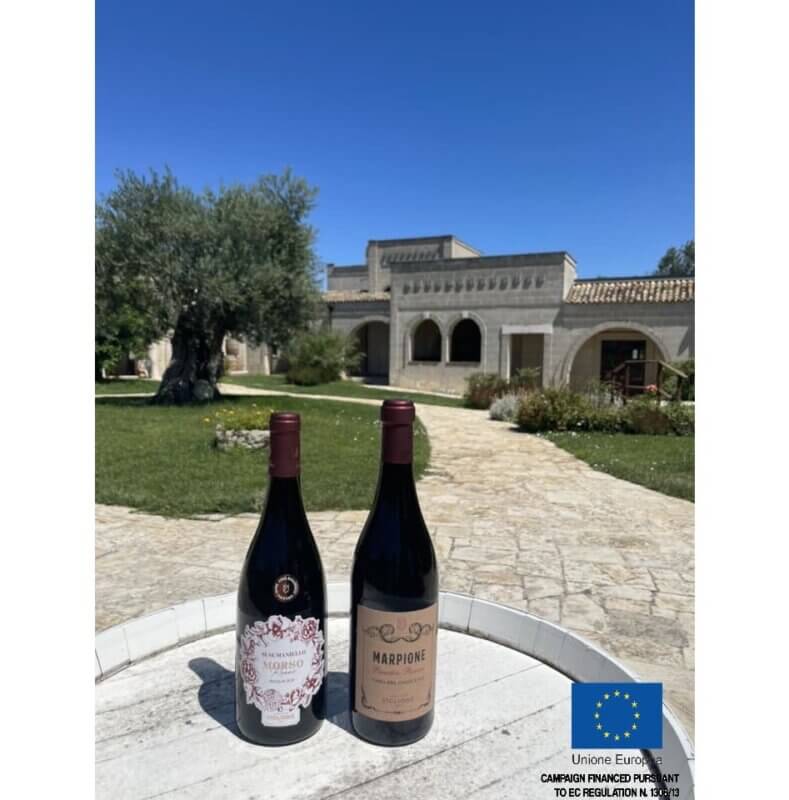 Tenuta Viglione